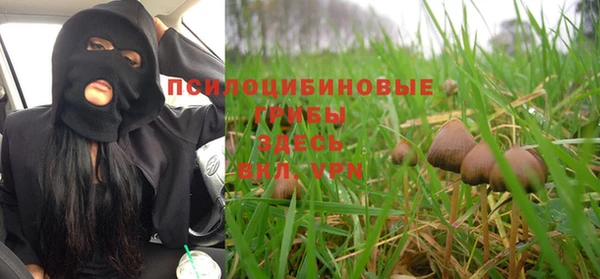 мескалин Горнозаводск
