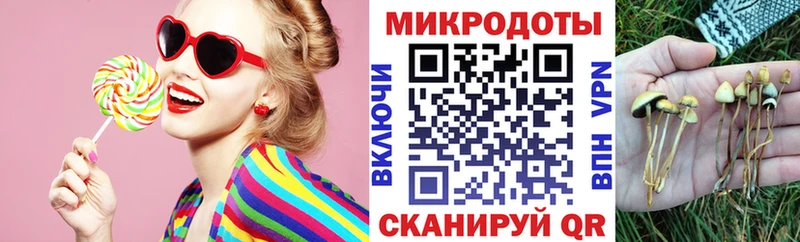 закладки  Долинск  Галлюциногенные грибы Psilocybe 